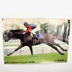 JRAポスター 阪神大賞典 ナリタブライアン マヤノトップガン B2サイズ JRAポスター 第44回阪神大賞典 B2サイズ