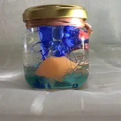 ハーバリウム　イルカ入り