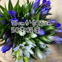 FreshFlowerMarket 佐藤 - メルカリShops