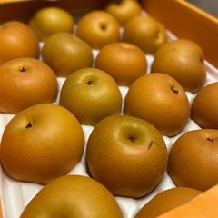 ベジップル　梨　あきづき　熊本県産　約５㎏　11～18玉サイズ