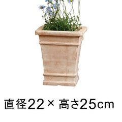 【新品】22cm 植木鉢 おしゃれ 横線入り 角 深型 素焼き鉢 小  テラコッタ鉢 ガーデニング  四角 スクエア