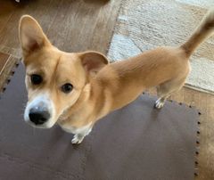 Yuki shop - メルカリShops