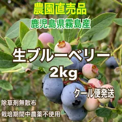 2565-716h] 3.25kg 冷凍桑の実 京都丹波産 | www.sia-sy.net