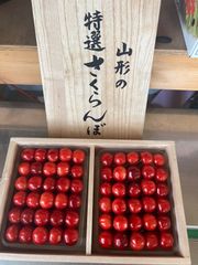 予約販売　山形県産　贈答用　最高級特秀さくらんぼ　佐藤錦　手詰め