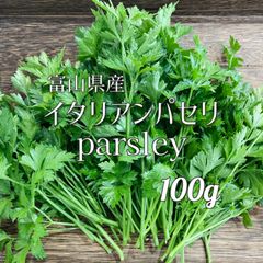 パスレー イタリアンパセリ 100g