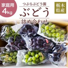 ぶどう 【つぶらぶどう園】 家庭用 詰合せ ぶどう色々 品種お任せ 4kg 栃木県栃木市