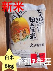 ふさおとめ　白米　5kg 令和7年　5キロ