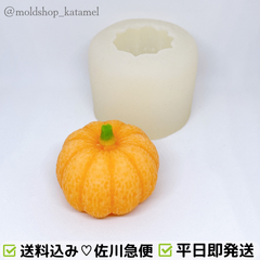 パンプキン 大　南瓜　かぼちゃ　ハロウィン　秋　シリコンモールド シリコン型　D21