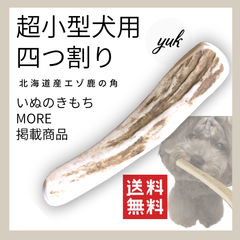 【送料無料】🐶超小型犬用🐶四つ割り🦌北海道産エゾ鹿の角🦌犬のおもちゃ🐕鹿の骨　A
