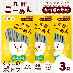 米粉麺 グルテンフリー 九州こーめん フィットチーネ ケール 3袋 アレルゲン27品目不使用 平麺