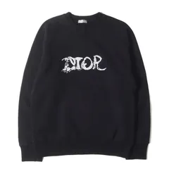 Diorトレーナー ピータードイグコラボ ディオール x ピーター・ドイグ 21年スキーカプセルコレクション