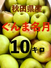 秋田県産りんご　ぐんま名月約10キロ　家庭用
