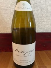 BEAU PAYSAGE ボーペイサージュ le vent 2023 BEAU PAYSAGE ボーペイサージュ le vent 2023 - メルカリ