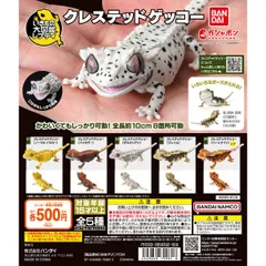 ゲッコーの本 2025年最新】クレステッドゲッコー 本の人気アイテム - メルカリ