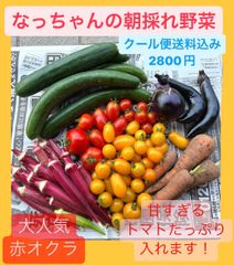 なっちゃんの朝採れ野菜