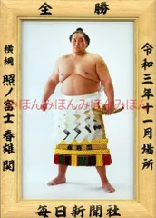 2025年最新】照ノ富士春雄の人気アイテム - メルカリ