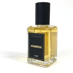 GIVENCHY JARDIN PRÉCIEUX 50ml 限定版 71dU9UbKhxL._UF1000,1000_QL80_.jpg