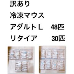 訳あり冷凍マウス※※アダルトｻｲｽﾞ※※