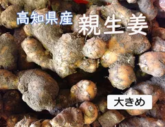 高知県産 親生姜 ２キロのサムネイル