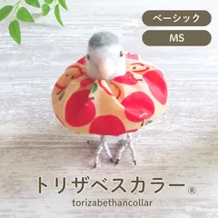 인기 [🐤 트리사벳 컬러] MS 사이즈 엘리자베스 컬러 잉꼬 버드