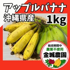 予約】沖縄産アップルバナナ1kg 自然栽培 - メルカリ