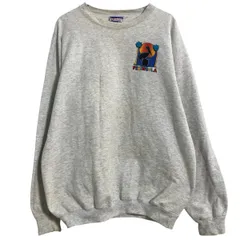 Hanes プリントスウェット トレーナー M ライトグレー ヘインズ プルオーバー 裏起毛 バックプリント 90s 古着卸 アメリカ仕入 a703-6441