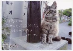 黒猫Jack（プロフ必読）様専用です♪︎ - メルカリ