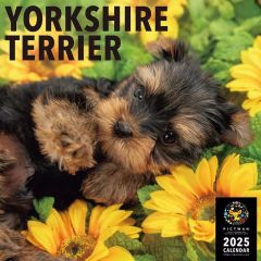 Item thumbnail for item 3b6e2f54-8554-4e1c-88b8-d83fc92cc234