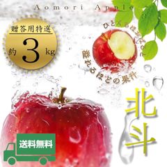 青森県産 ＂ 北斗 ＂ りんご【贈答用特選3kg】【化粧箱】【送料無料】【産地直送】お歳暮 ギフト リンゴ 林檎