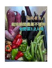 【福岡県産】秋のお野菜セット（1〜2人用）