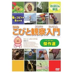 USED　こびとづかん　DVD ４点セット　かくれももじり　レンタル落ち 楽天市場】こびとづかん dvd 中古の通販