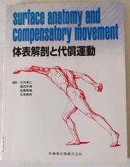 体表解剖と代償運動