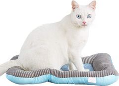 Item thumbnail for item 0b610b07-b80e-4dd5-a887-cc54c0bca8e8