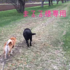 まるる様専用です