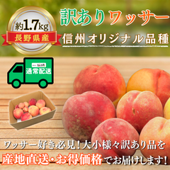 訳ありワッサー〜信州生まれの新食感フルーツ〜【内容量】約1.7kg【配送方法】クール配送【サイズ】ミックス【品目】ワッサー【品種】ミックス【産地】長野県【規格】ご家庭用B品【販売会社】有限会社青木