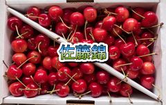 アメリカンチェリー 8キロ 11.5R - メルカリ