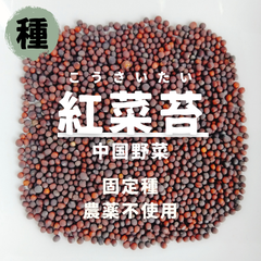 【種】紅菜苔　コウサイタイ　農薬不使用　80粒