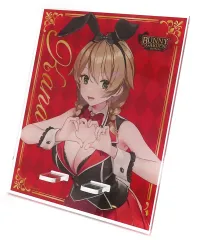 未使用未開封 バニーガーデン 花奈 スペシャル セット バニーガーデン 入店セット DXパック(花奈VIPルームセット) + 3D