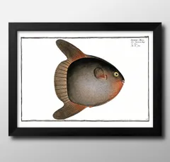 00414海洋生物 ビンテージイラスト A3 サイズ ポスター アート おしゃれ 絵画 インテリア 北欧 イラスト マット紙 艶消し アートパネル 額 フレーム デザイン 壁掛け ギフト 新築祝い ディスプレイ 