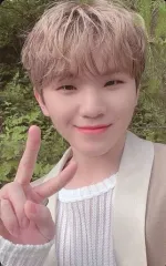 【中古】コレクションカード(男性) SEVENTEEN/WOOZI(ウジ)/裏面グレー/SEVENTEEN PHOTOBOOK 「SOCIAL CLUB ： CARAT」(Al Fine ver.)封入特典フォトカード