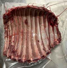 イノシシ　あばら骨付き肉 400g