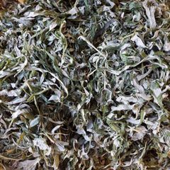 予約　2025年産    乾燥よもぎ５００ｇ(長野県産) よもぎ風呂