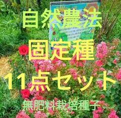 自然農法　固定種11点セット(3850円→2450円)