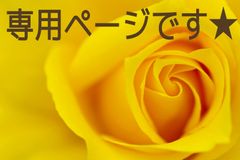 むう様専用です★