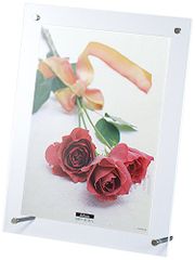 【新品・5営業日で発送】ナカバヤシ アクリル製ピクチャーフレームスタンドタイプA4判 フ-ACS-A4 (ACS-A4)