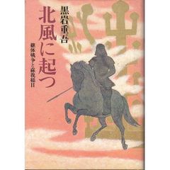 北風に起つ―継体戦争と蘇我稲目
