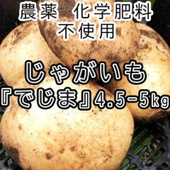 【群馬県の農場から直送】格段に美味しい”大玉” じゃがいも『でじま』