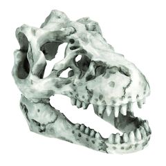 【人気商品】シェルター 隠れ家 骨 オーナメント 化石 恐竜 オブジェ 置物 アクアリウム 水槽 Charmoon