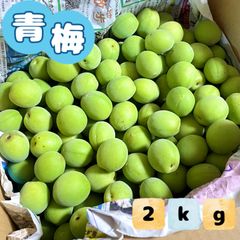 福岡県産 青梅 2kg ★梅しごと始めませんか