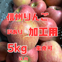 長野県産りんご 訳あり加工用 箱込5キロ以内 送料無料 生食可もあり 大小バラ詰サイズMIX ジャム ジュース リンゴ酢 りんごシロップ フルーツサンド カットフルーツ